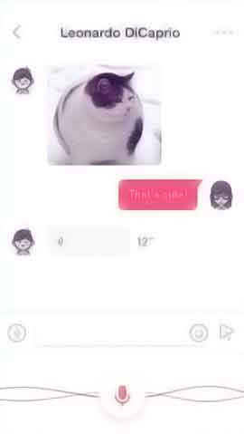 在线电话轰炸机